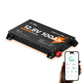 12V 100Ah Self-Heating LiFePO4 Battery N310