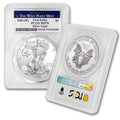 1 oz American Silver Eagle Coin P4786