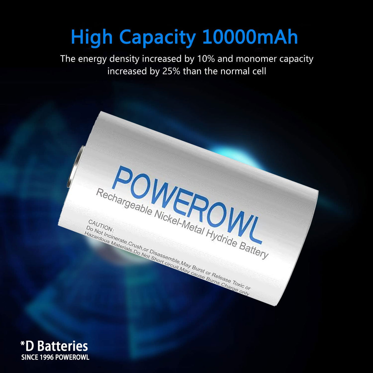 Rechargeable D Batteries with 4 Bay Battery Charger S770046