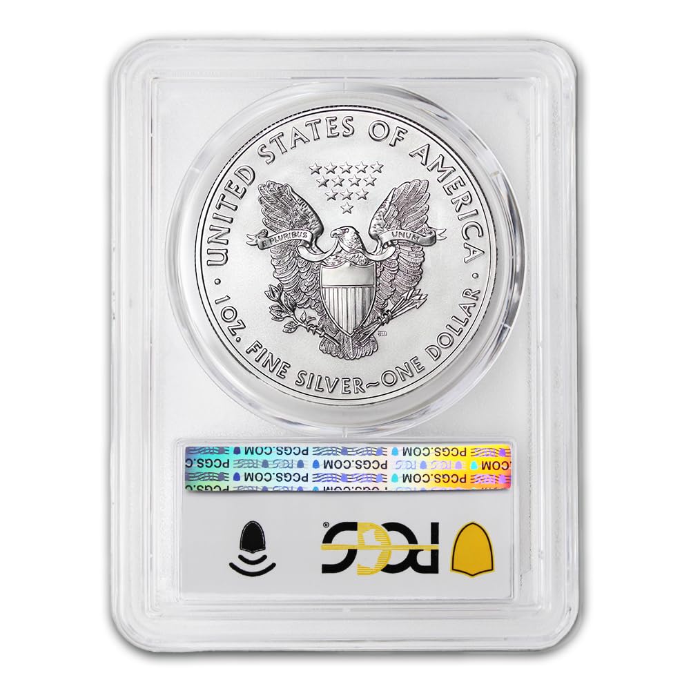 1 oz American Silver Eagle Coin P4786