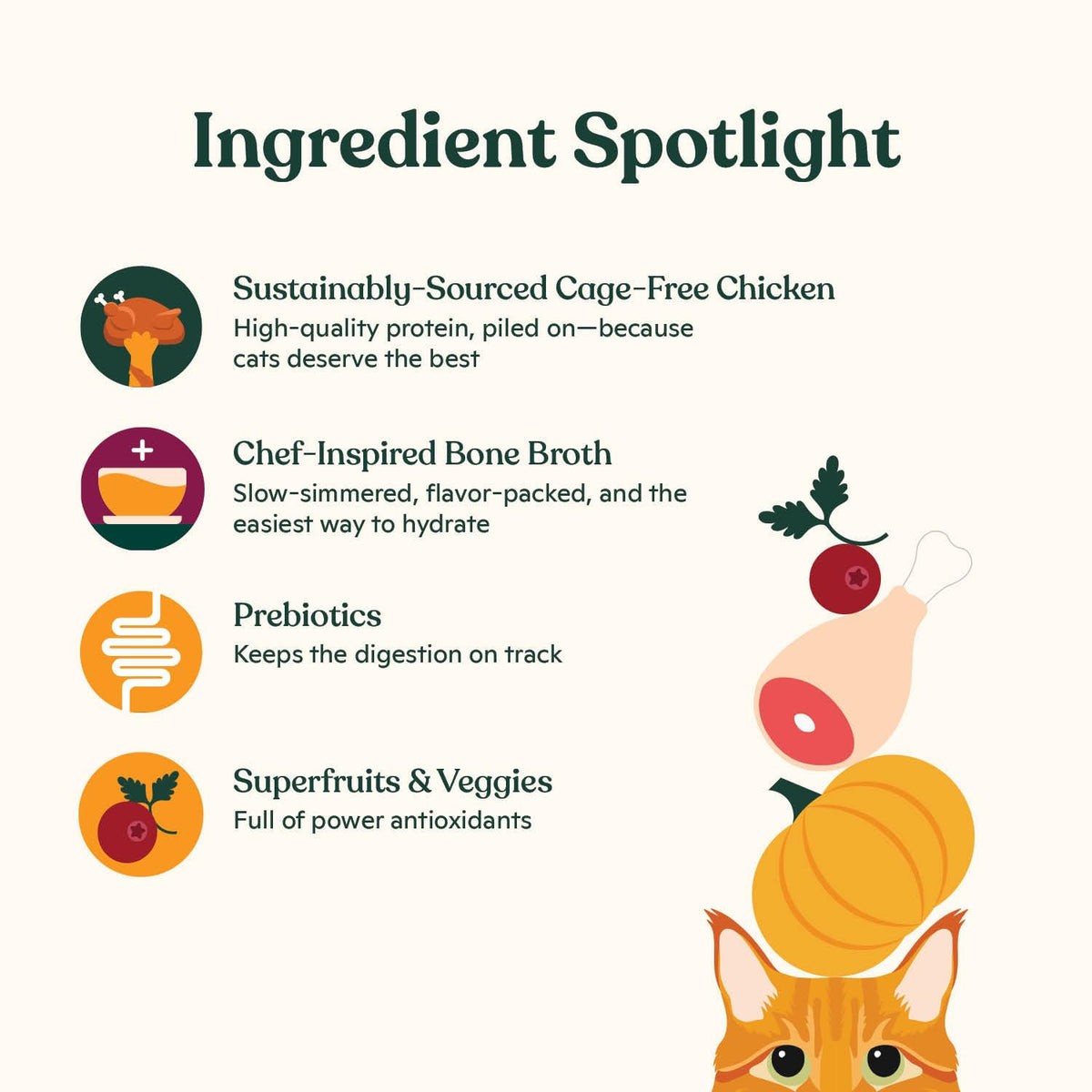 High Protein Grain-Friendly Chicken & Pumpkin Dry Cat Food T8671