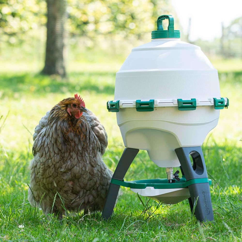 6 Gallon Top Fill Gravity Fed Poultry Waterer N323