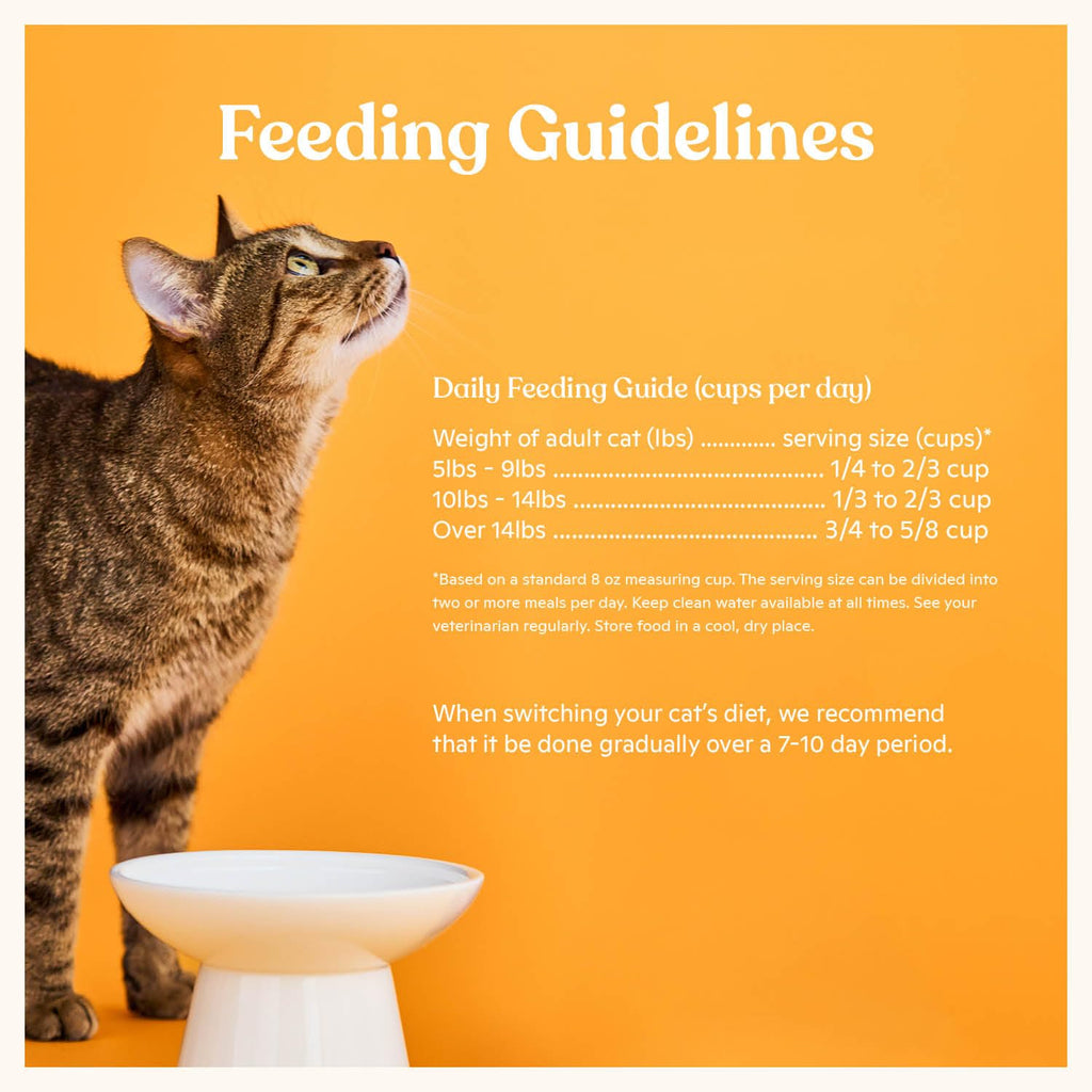 High Protein Grain-Friendly Chicken & Pumpkin Dry Cat Food T8671