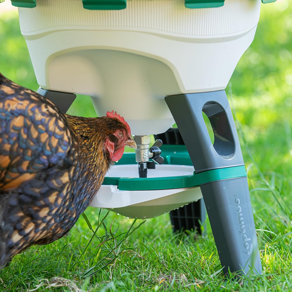 6 Gallon Top Fill Gravity Fed Poultry Waterer N323