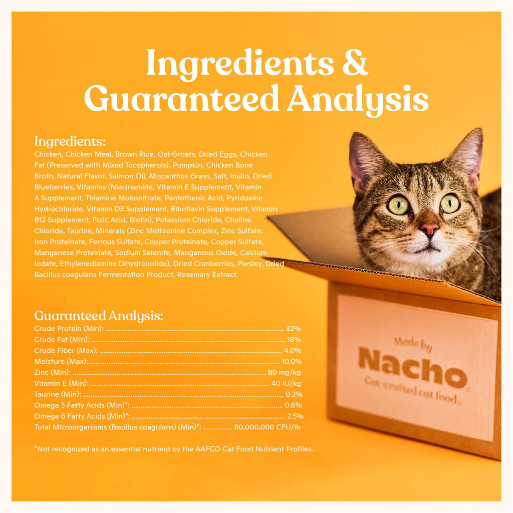 High Protein Grain-Friendly Chicken & Pumpkin Dry Cat Food T8671