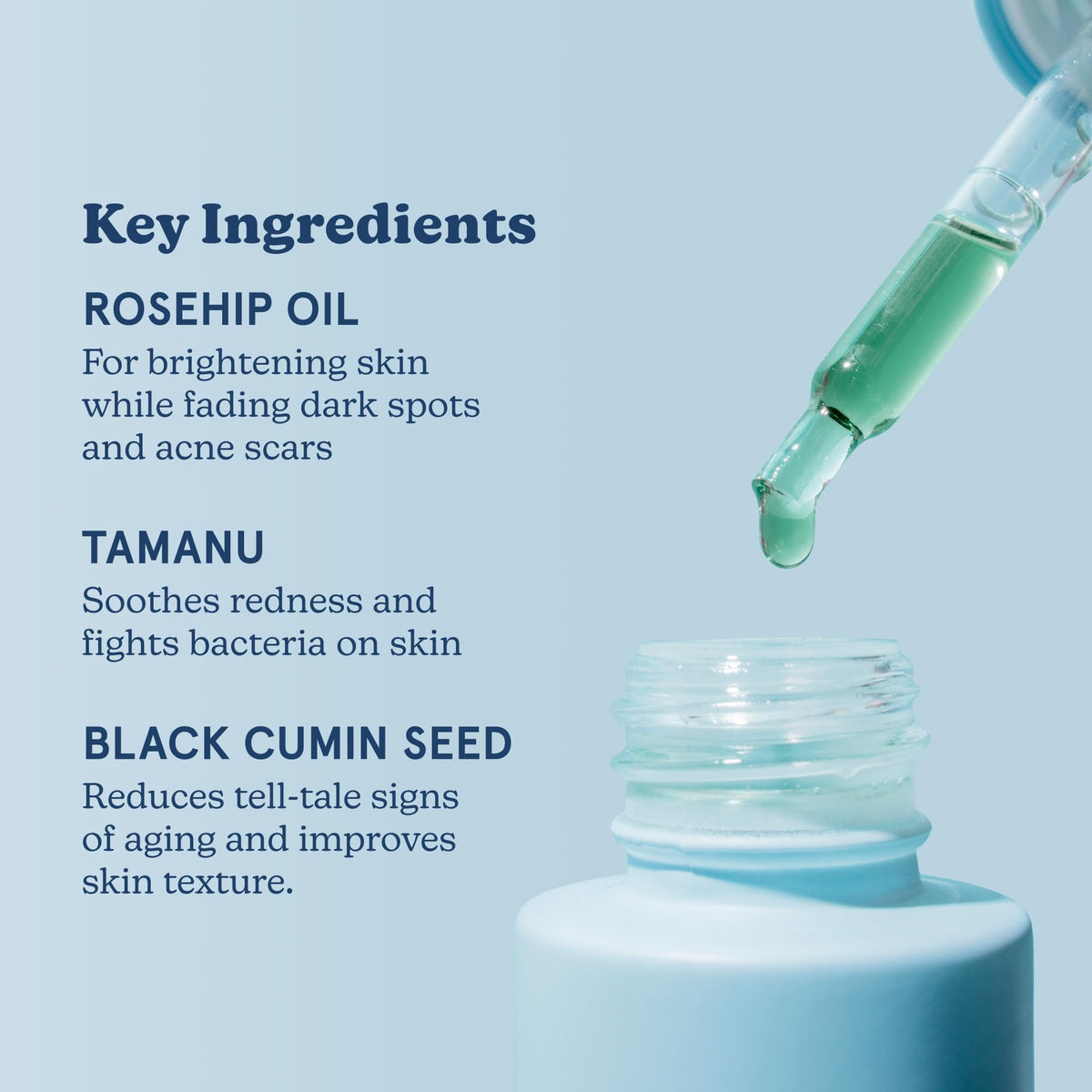 Vitamin C Serum and Blue Tansy Face Oil Duo O3377