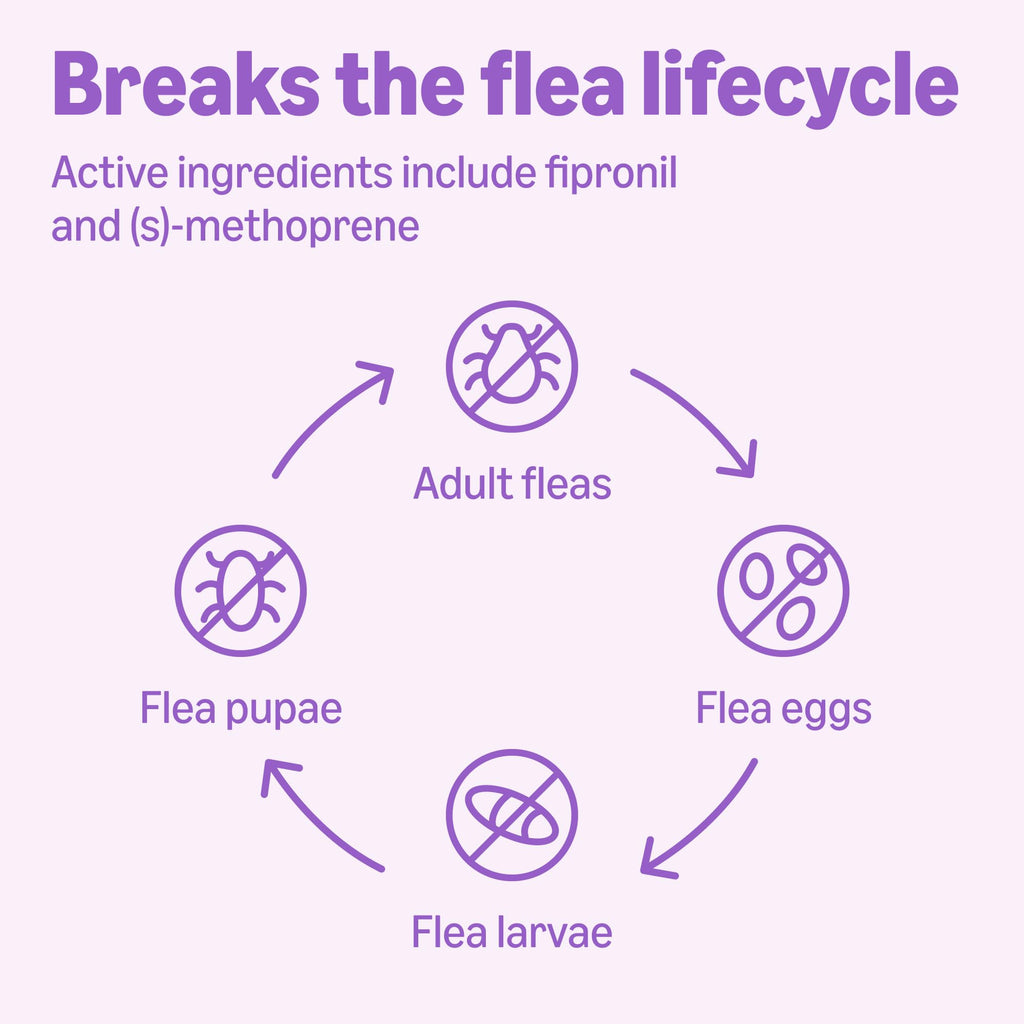 Flea and Tick Topical Treatment for Large Dogs 3 Count Y841403