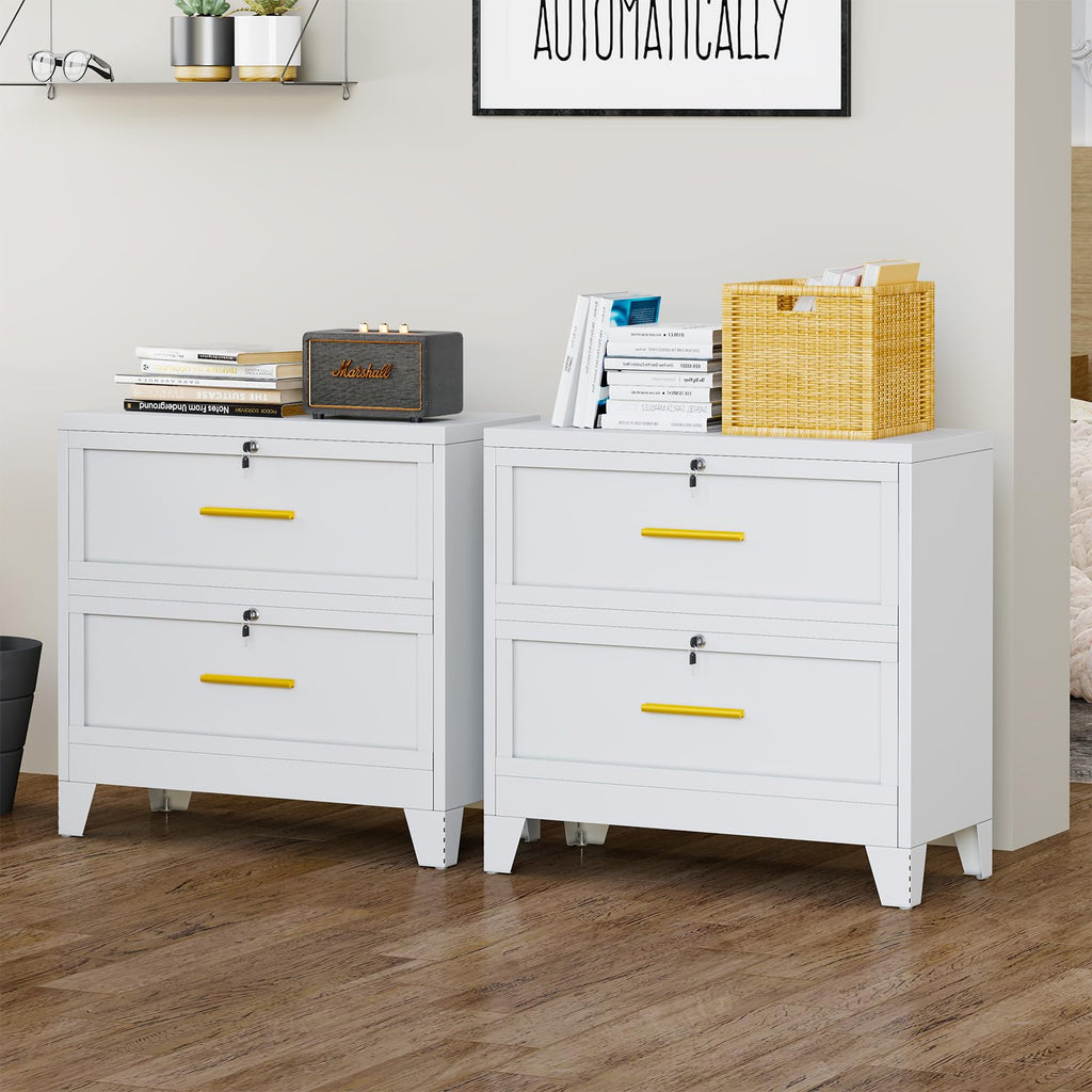 2 Drawer Metal File Cabinet with Lock V336909
