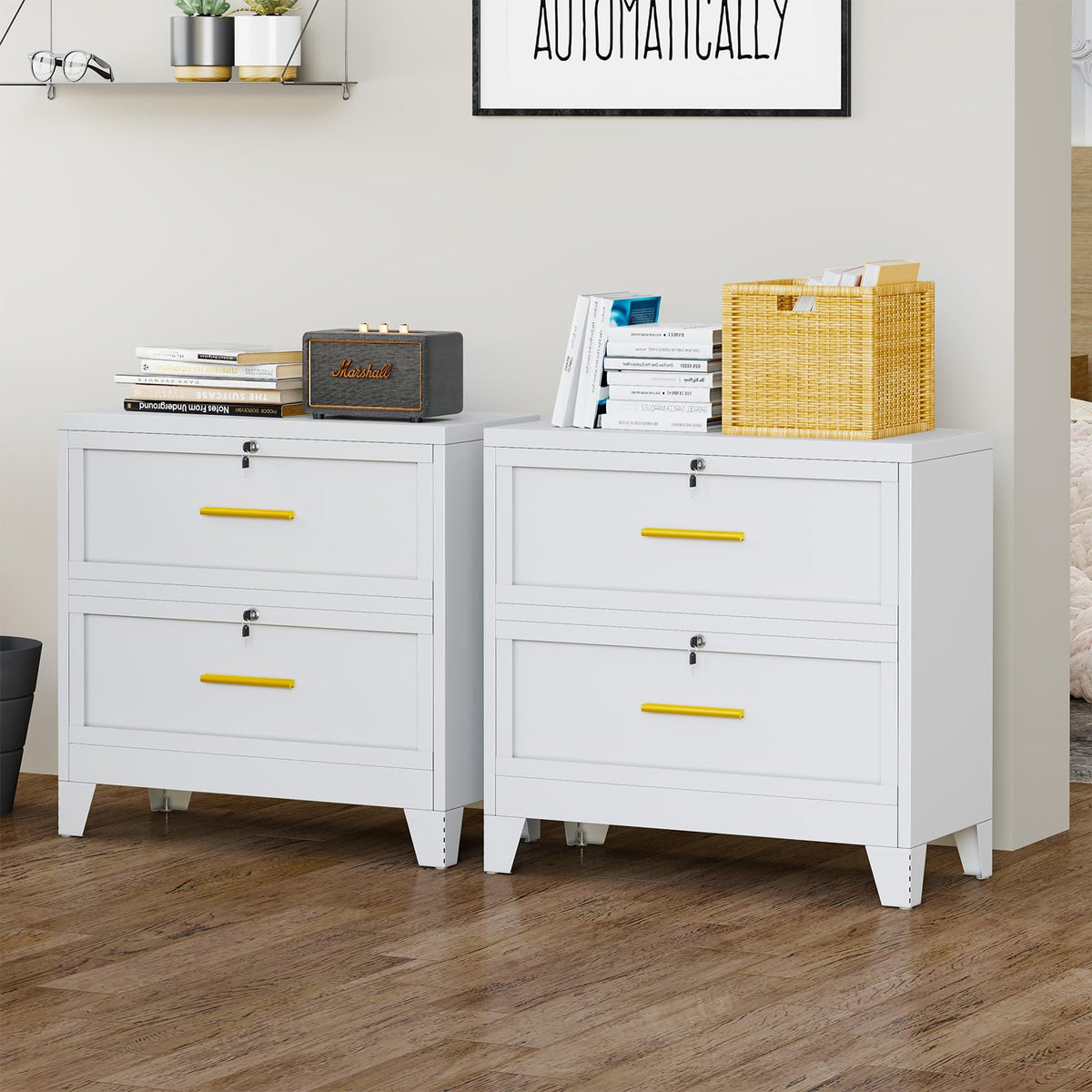 2 Drawer Metal File Cabinet with Lock V336909
