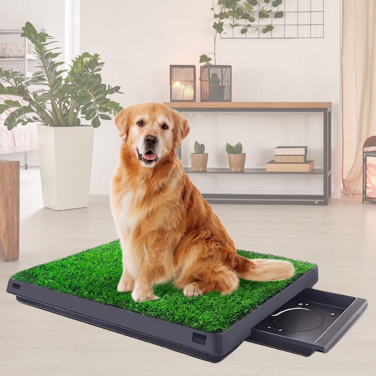 Washable Dog Grass Pad with Tray 20x25 D72634