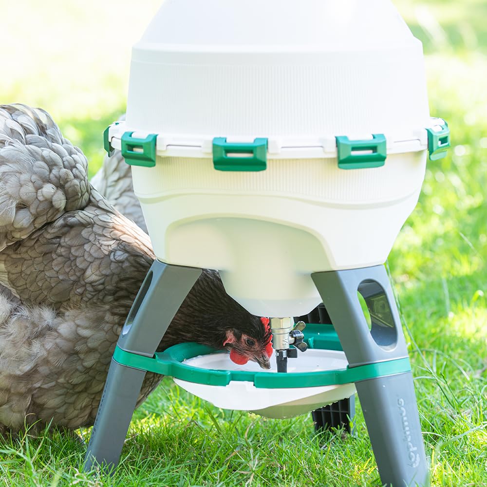 6 Gallon Top Fill Gravity Fed Poultry Waterer N323