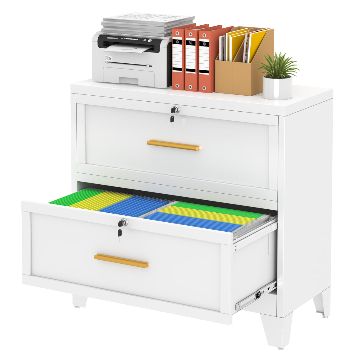 2 Drawer Metal File Cabinet with Lock V336909