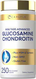 Glucosamine Chondroitin MSM 250 Mini Tablets O61298