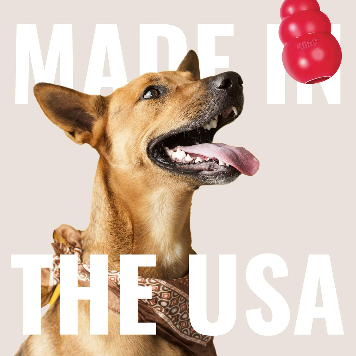 Peanut Butter and Sweet Potato Dog Treat Paste 5 oz X11228