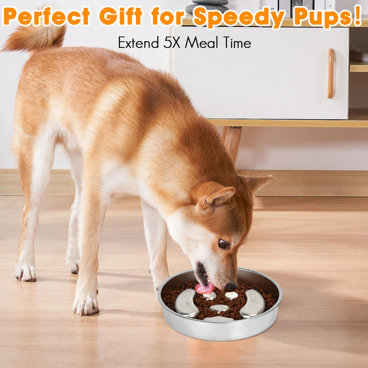 Stainless Steel 2 Pack Slow Feed Dog Bowl S65087