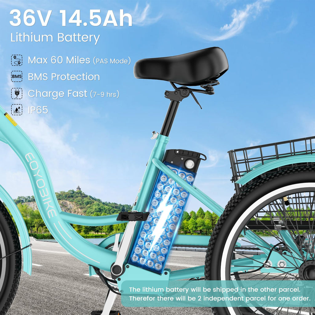 24/26 Inch 350W Electric Tricycle with Removable 36V Battery and Rear Basket Y3359