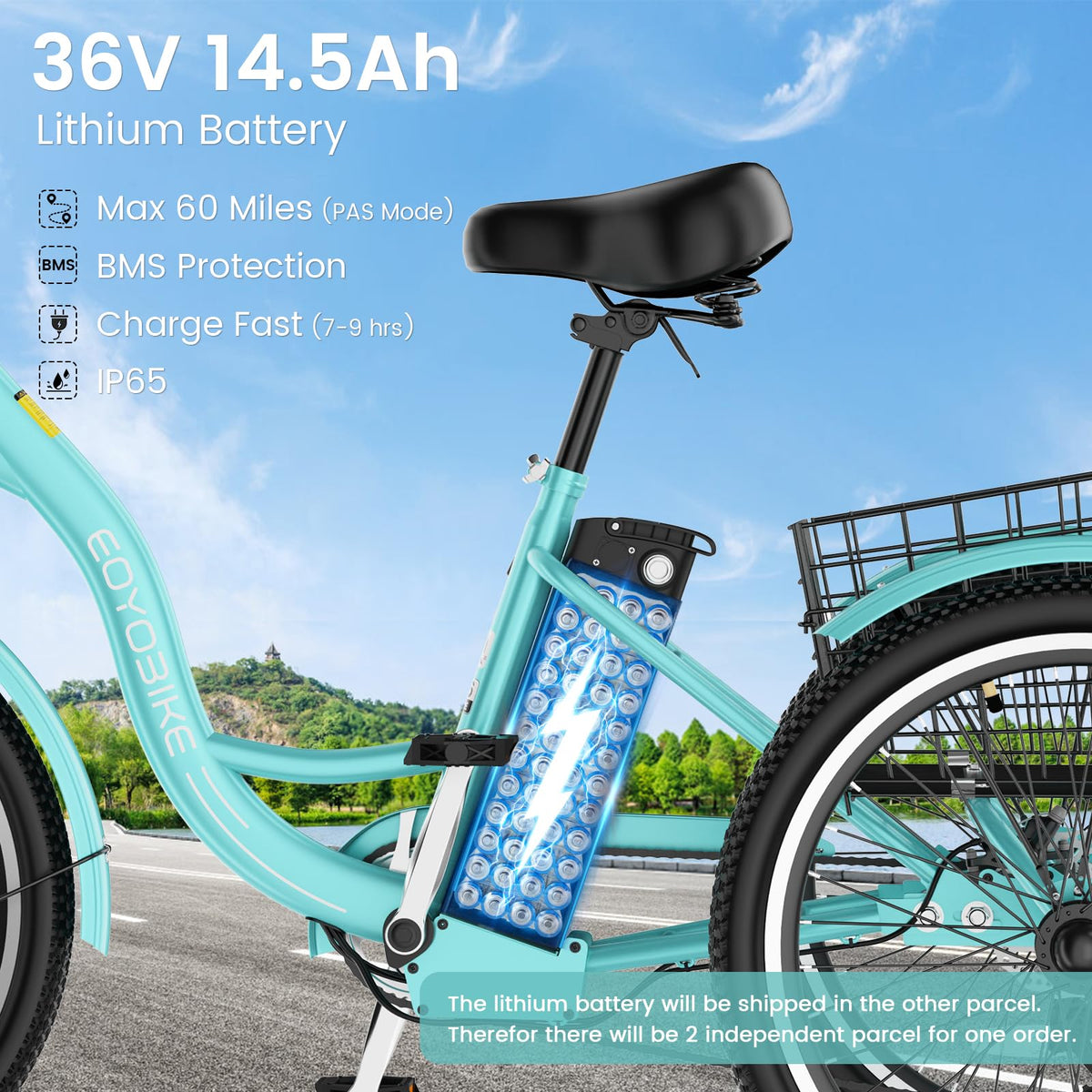 24/26 Inch 350W Electric Tricycle with Removable 36V Battery and Rear Basket Y3359