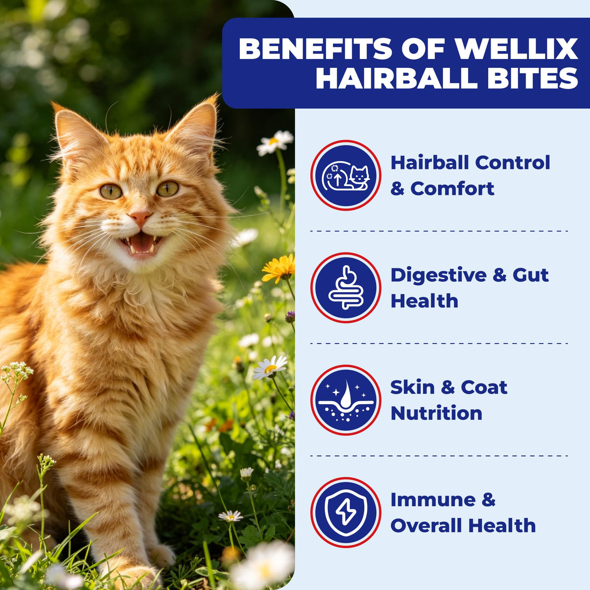 10.58 oz Hairball Bites for Cats W602225