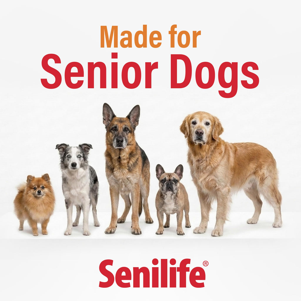 Cognitive Support Capsules for Senior Dogs, 30 Capsules P83041