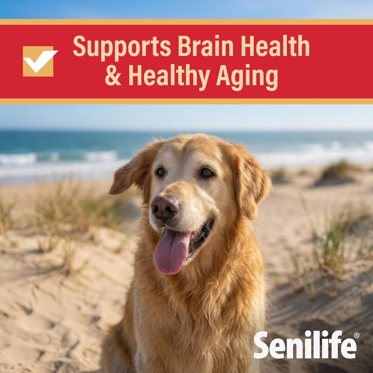 Cognitive Support Capsules for Senior Dogs, 30 Capsules P83041