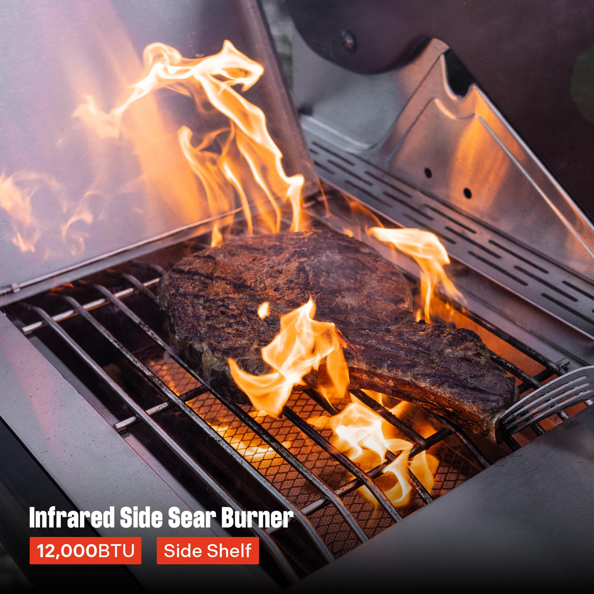 4+2 Burner Propane Gas Grill Stainless Steel F477