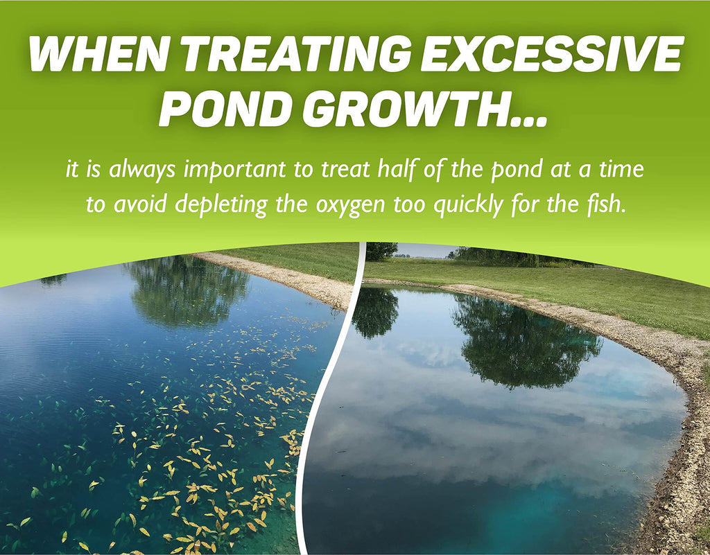 Concentrated Aquatic Herbicide for Lakes and Ponds F28793