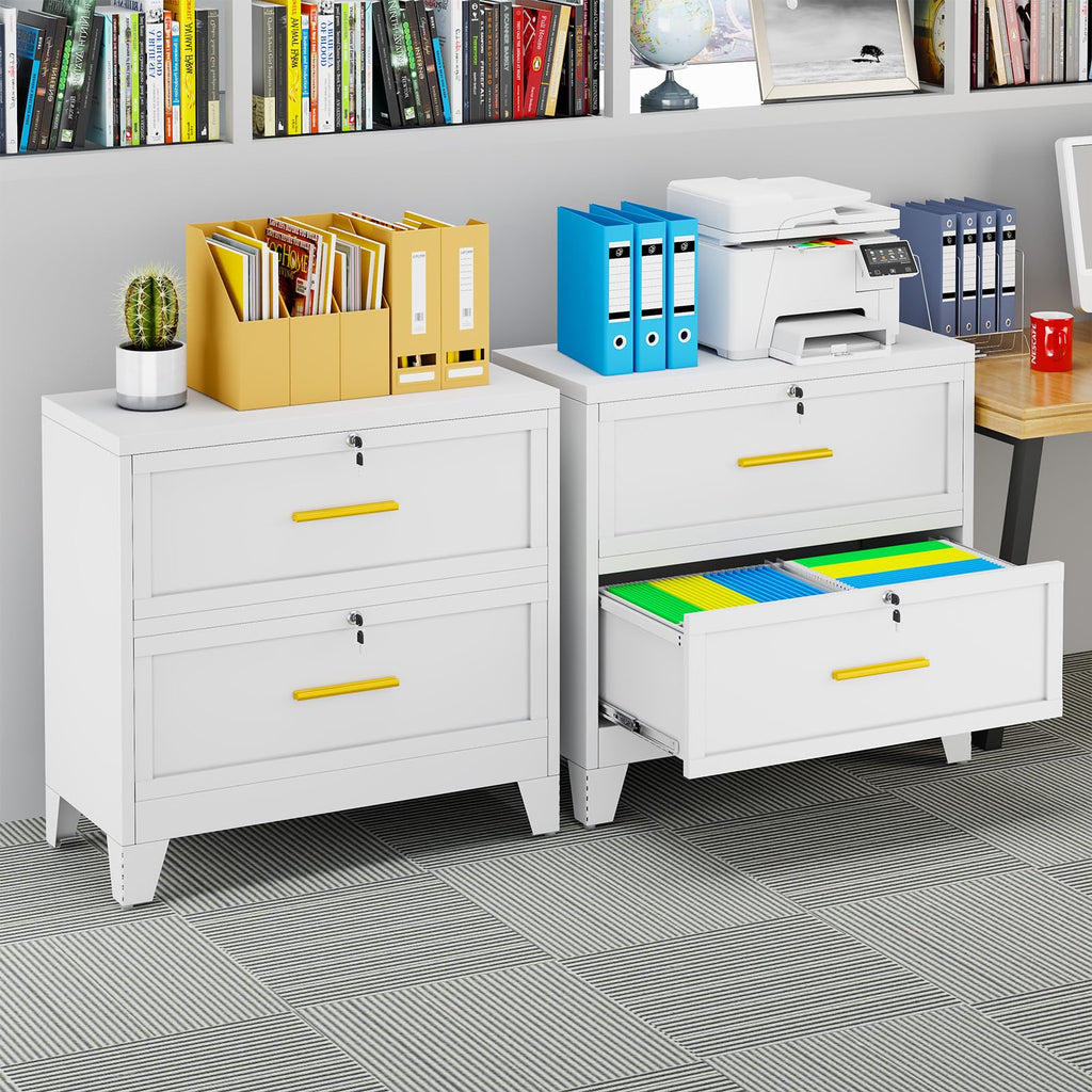 2 Drawer Metal File Cabinet with Lock V336909