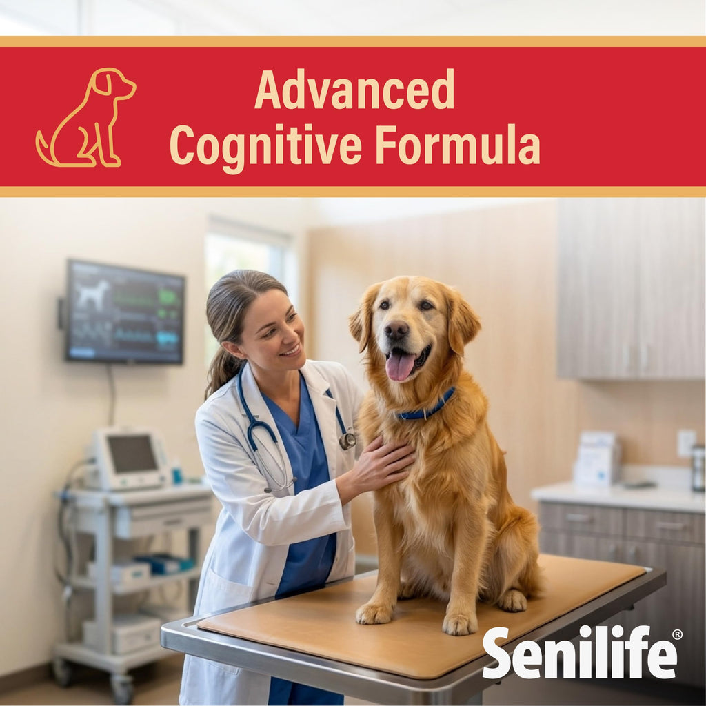 Cognitive Support Capsules for Senior Dogs, 30 Capsules P83041