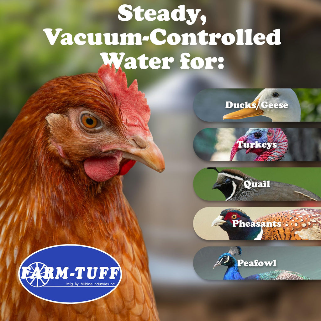 Galvanized 5 Gallon Poultry Waterer S504090