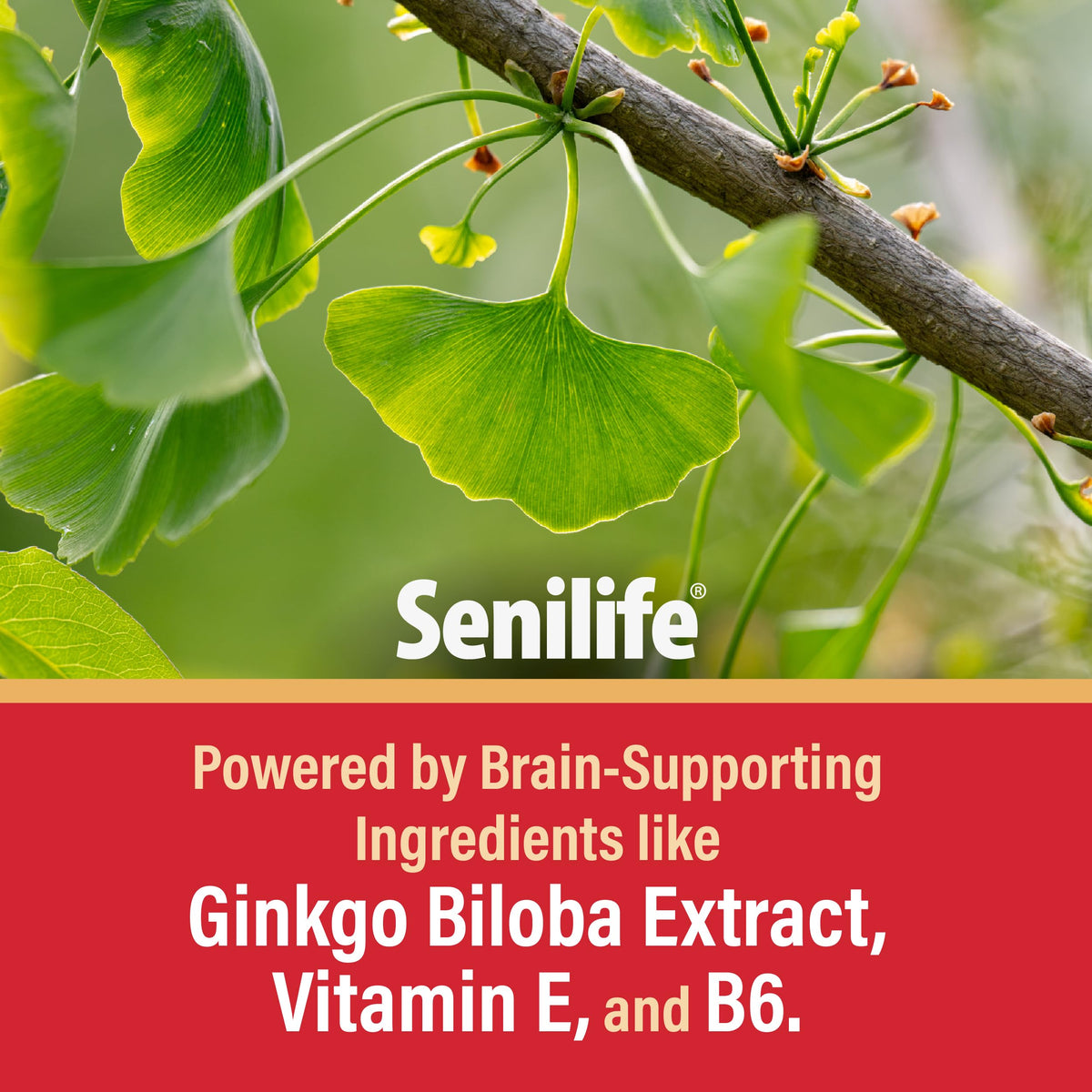 Cognitive Support Capsules for Senior Dogs, 30 Capsules P83041