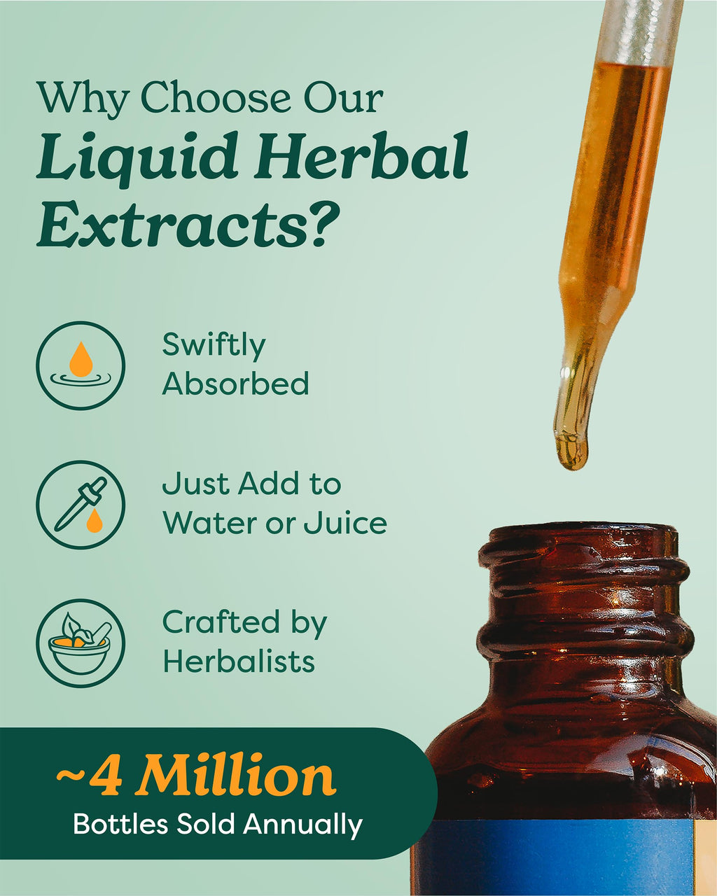 Organic Garlic Liquid Extract 1 Ounce H8597