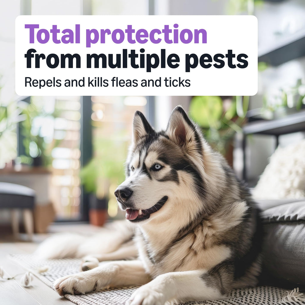 Flea and Tick Topical Treatment for Large Dogs 3 Count Y841403