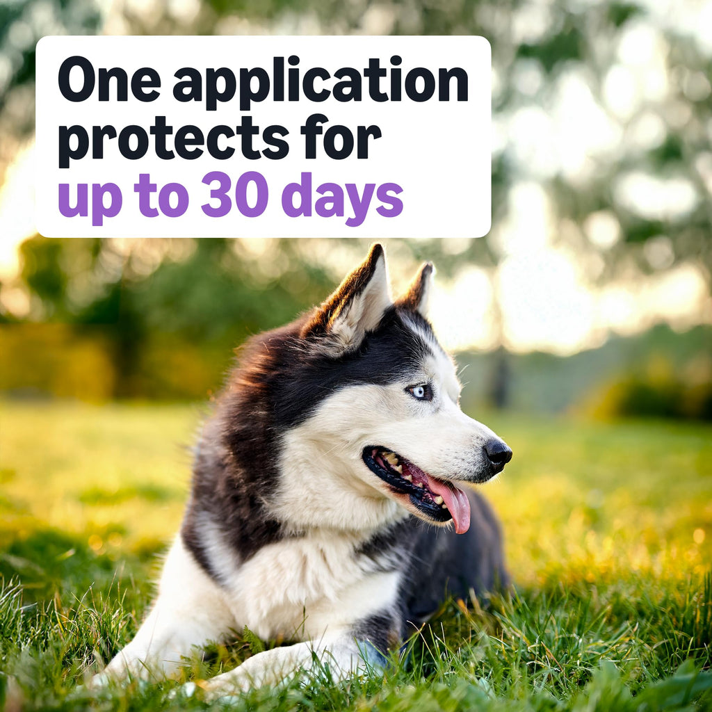 Flea and Tick Topical Treatment for Large Dogs 3 Count Y841403