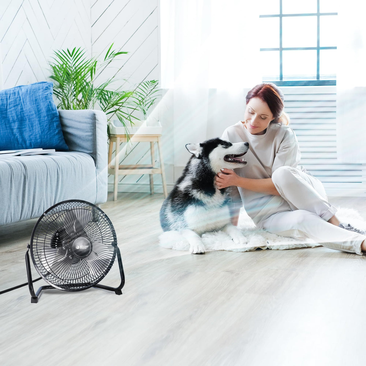9 Inch Black Metal Floor Fan L9021