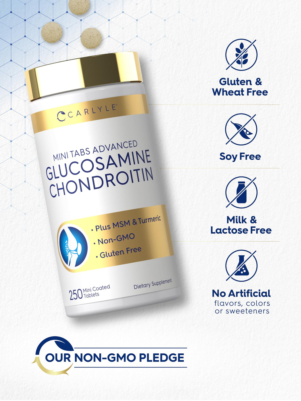 Glucosamine Chondroitin MSM 250 Mini Tablets O61298