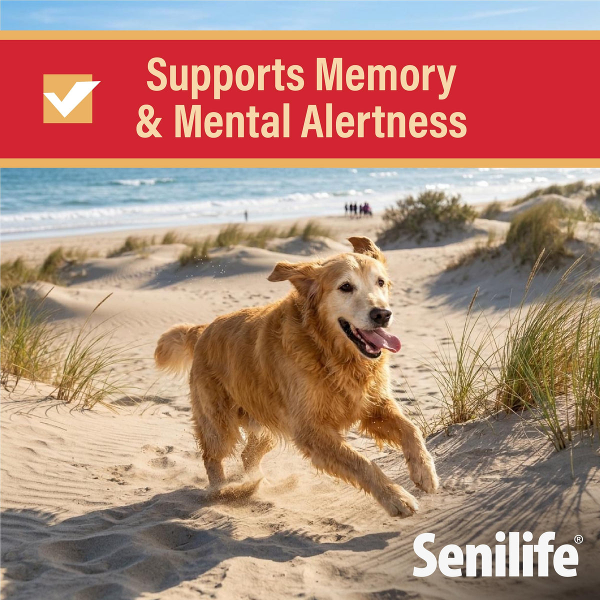 Cognitive Support Capsules for Senior Dogs, 30 Capsules P83041