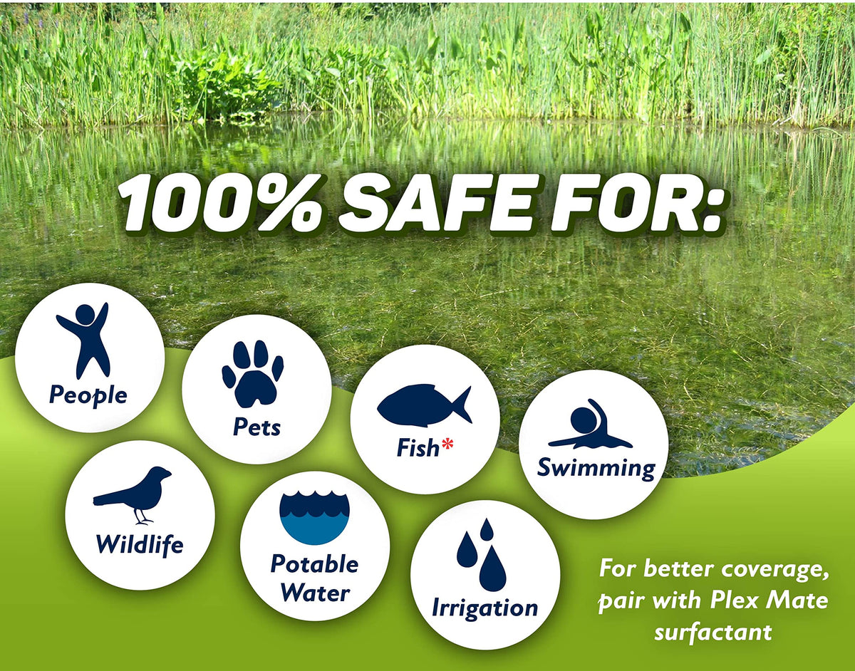 Concentrated Aquatic Herbicide for Lakes and Ponds F28793